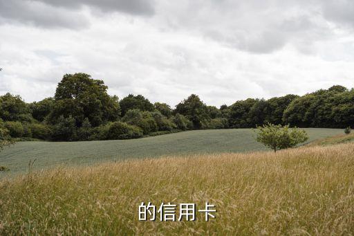光大银行信用卡途牛卡年费,必需的信用卡