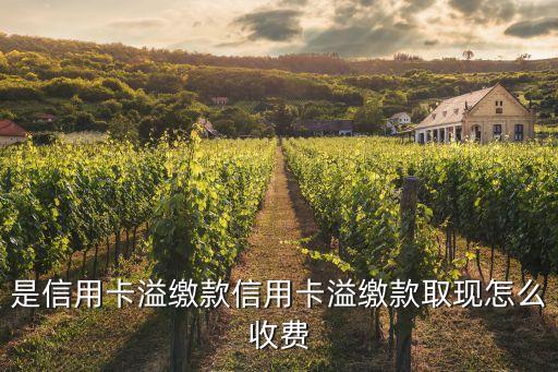 是信用卡溢缴款信用卡溢缴款取现怎么收费