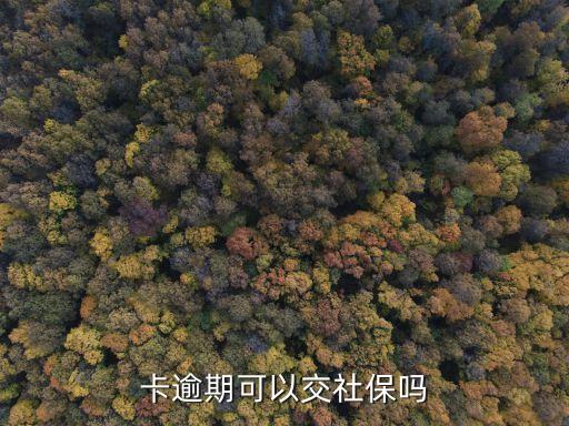 卡逾期可以交社保吗