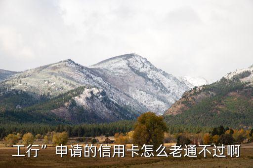 工行”申请的信用卡怎么老通不过啊