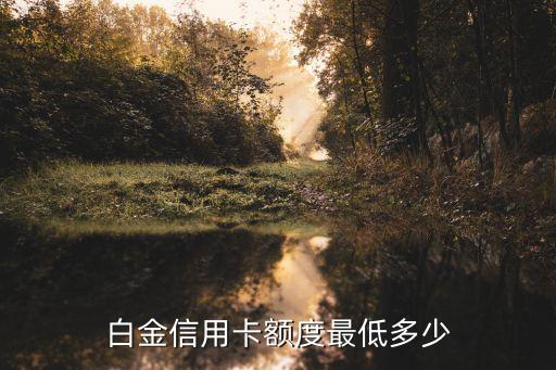 白金信用卡额度最低多少