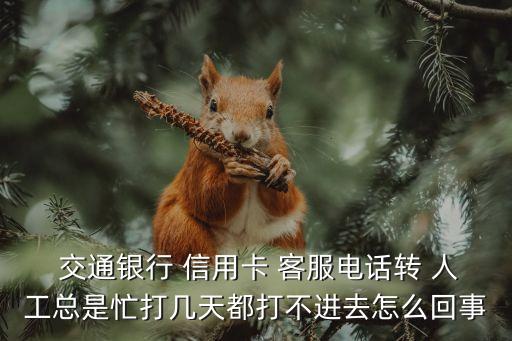  交通银行 信用卡 客服电话转 人工总是忙打几天都打不进去怎么回事