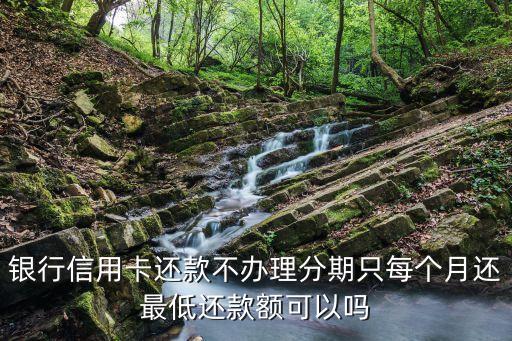 银行信用卡还款不办理分期只每个月还最低还款额可以吗