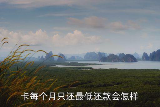卡每个月只还最低还款会怎样