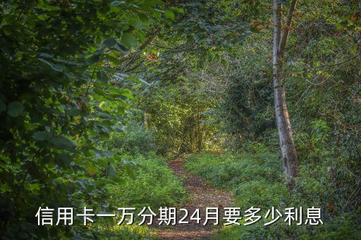 信用卡一万分期24月要多少利息