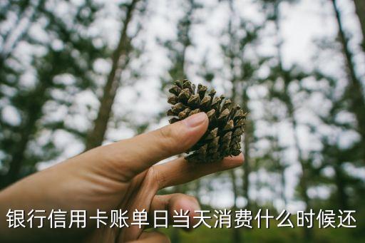 信用卡当天刷当天还款,你刷信用卡的那一天过得怎么样