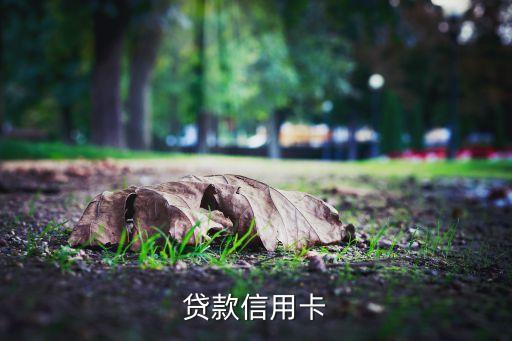 大额度信用卡怎么线下申请,如何查询信用卡额度
