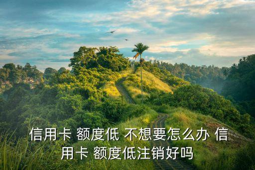  信用卡 额度低 不想要怎么办 信用卡 额度低注销好吗