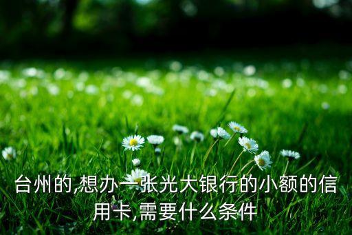 台州的,想办一张光大银行的小额的信用卡,需要什么条件