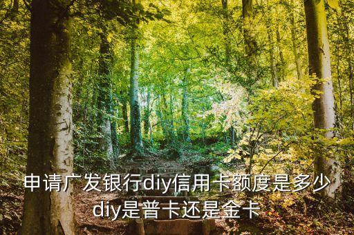 申请广发银行diy信用卡额度是多少diy是普卡还是金卡