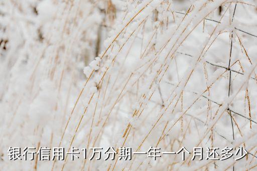 信用卡借款1万分期,一万张信用卡分期