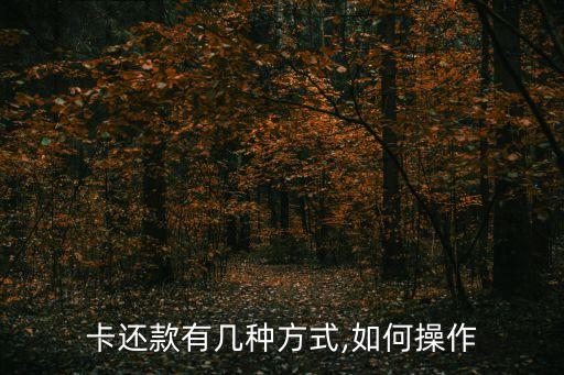 卡还款有几种方式,如何操作