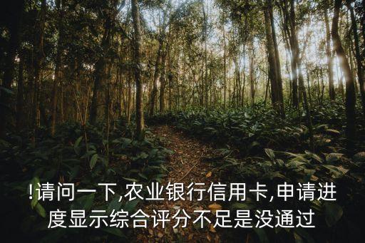!请问一下,农业银行信用卡,申请进度显示综合评分不足是没通过