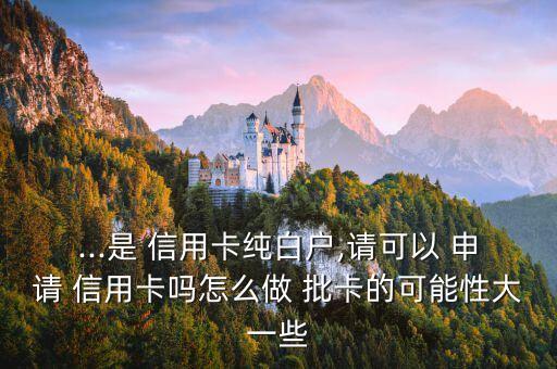 ...是 信用卡纯白户,请可以 申请 信用卡吗怎么做 批卡的可能性大一些
