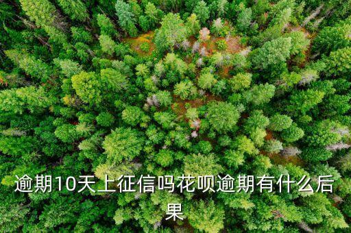 逾期10天上征信吗花呗逾期有什么后果