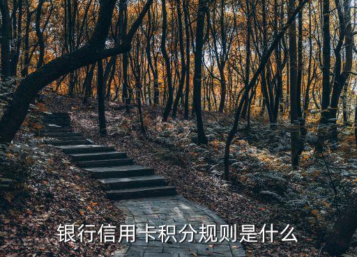 中国银行信用卡办卡赠积分,中国银行是怎么评分的?