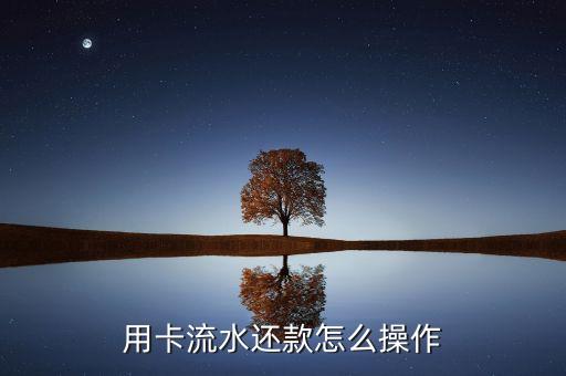 用卡流水还款怎么操作
