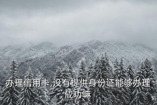 办理信用卡,没有提供身份证能够办理成功嘛