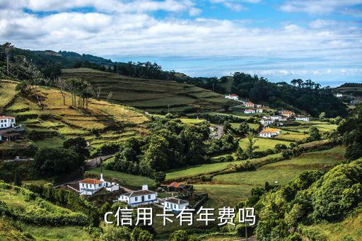 c信用卡有年费吗