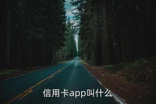 信用卡app叫什么
