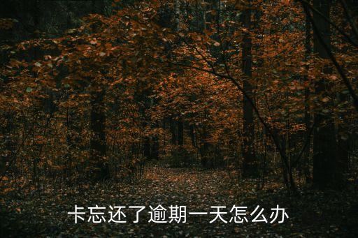 卡忘还了逾期一天怎么办