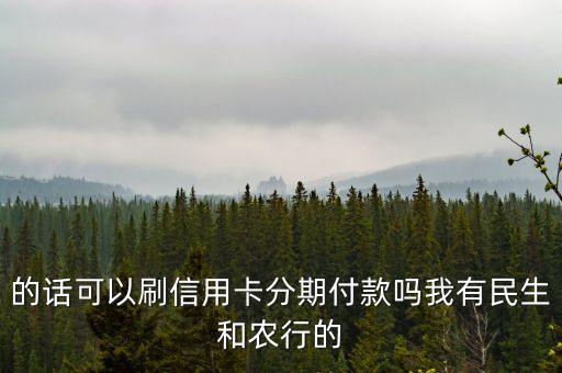的话可以刷信用卡分期付款吗我有民生和农行的