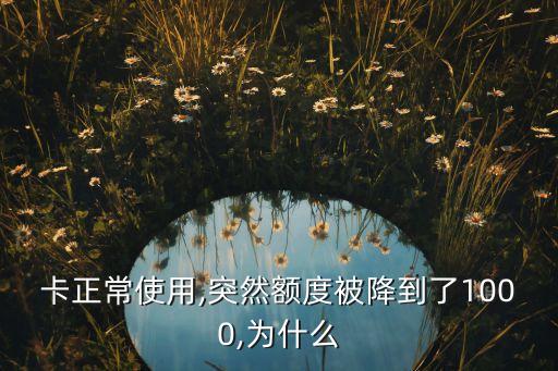 卡正常使用,突然额度被降到了1000,为什么