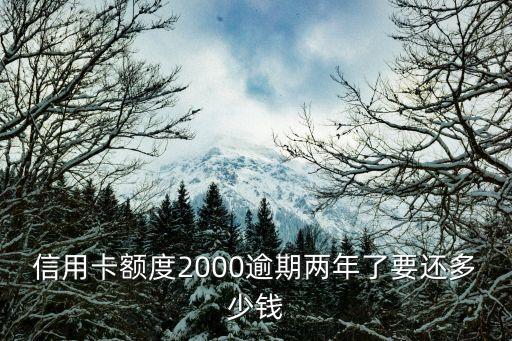 信用卡额度2000逾期两年了要还多少钱