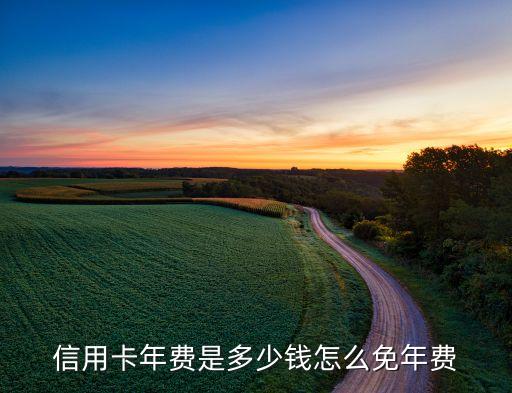 信用卡年费是多少钱怎么免年费