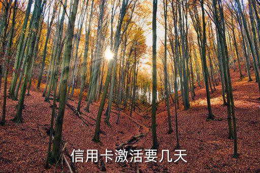 信用卡激活要几天