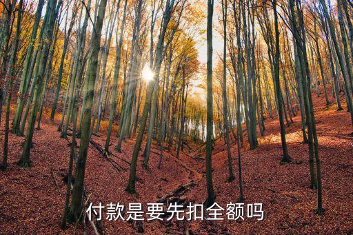 付款是要先扣全额吗