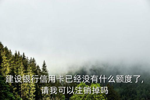 建设银行信用卡已经没有什么额度了,请我可以注销掉吗