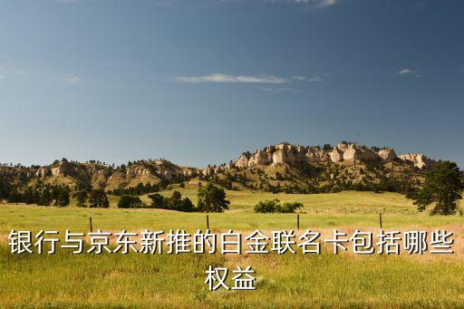 银行与京东新推的白金联名卡包括哪些权益