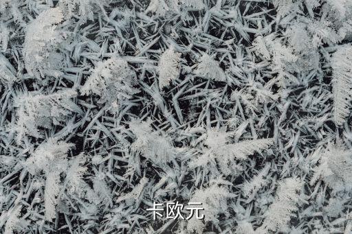 卡欧元