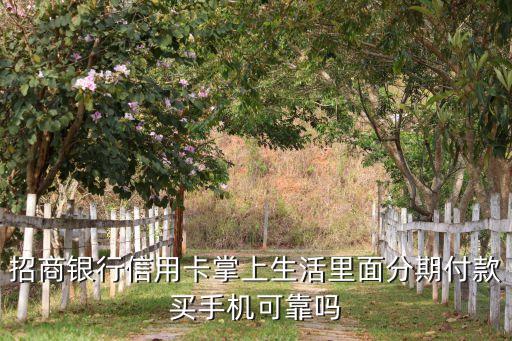 信用卡分期买app哪个好,平安银行APP信用卡取消分期