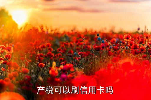 产税可以刷信用卡吗
