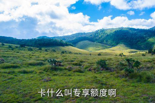 卡什么叫专享额度啊