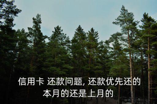  信用卡 还款问题, 还款优先还的本月的还是上月的