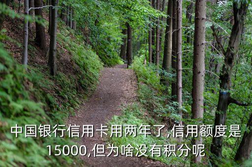 中国银行信用卡用两年了,信用额度是15000,但为啥没有积分呢