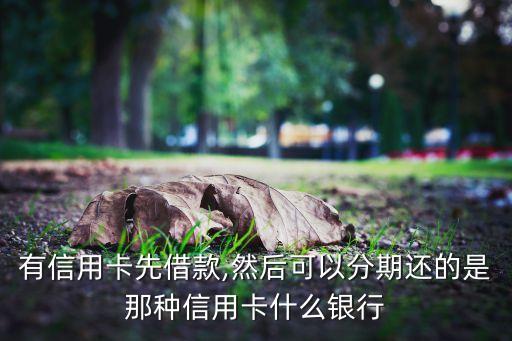 什么信用卡能现场办理分期,信用卡可以现场办理吗?