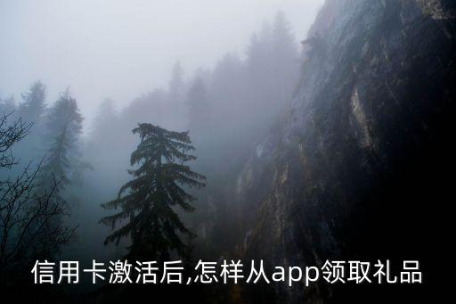 信用卡激活后,怎样从app领取礼品