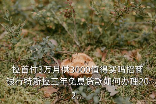拉首付3万月供3000值得买吗招商银行特斯拉三年免息贷款如何办理202...