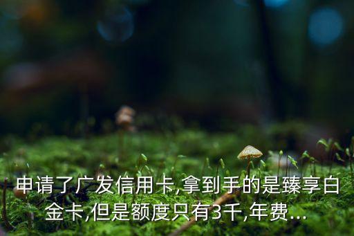 申请了广发信用卡,拿到手的是臻享白金卡,但是额度只有3千,年费...