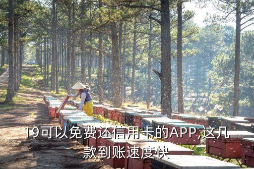 19可以免费还信用卡的APP,这几款到账速度快