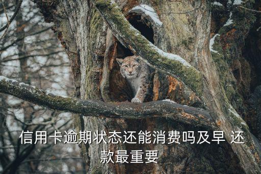 信用卡违约了还款还能用吗