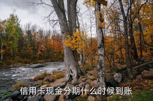 信用卡现金分期什么时候到账