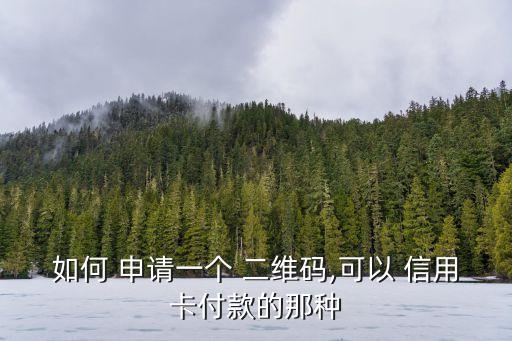 如何 申请一个 二维码,可以 信用卡付款的那种