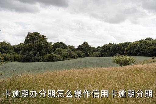 卡逾期办分期怎么操作信用卡逾期分期
