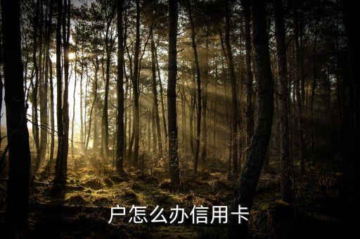 户怎么办信用卡