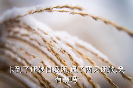 上海银行信用卡晚还两天,信用卡晚还三天算逾期吗